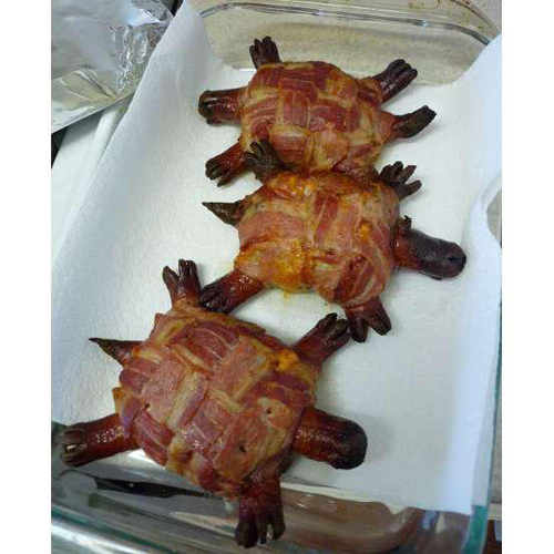 Bacon terrapin.jpg