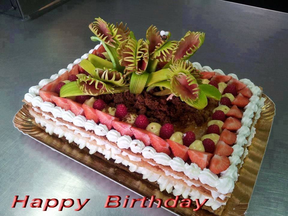 Carniverous plants.jpg