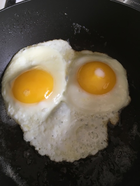 Egg, fried.jpg