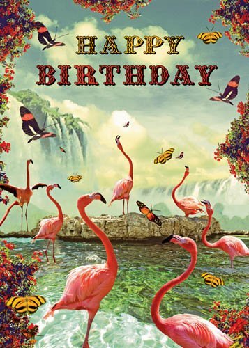 Flamingos, butterflies.jpg