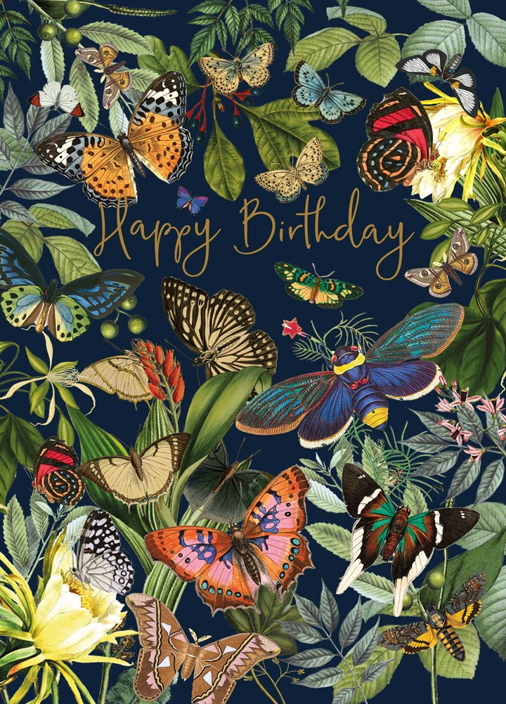 HB butterflies on black.jpg