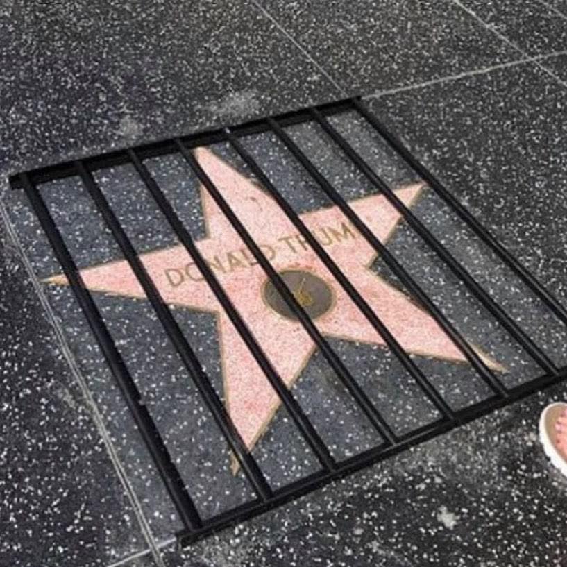 Hollywood blvd star behind bars.jpg