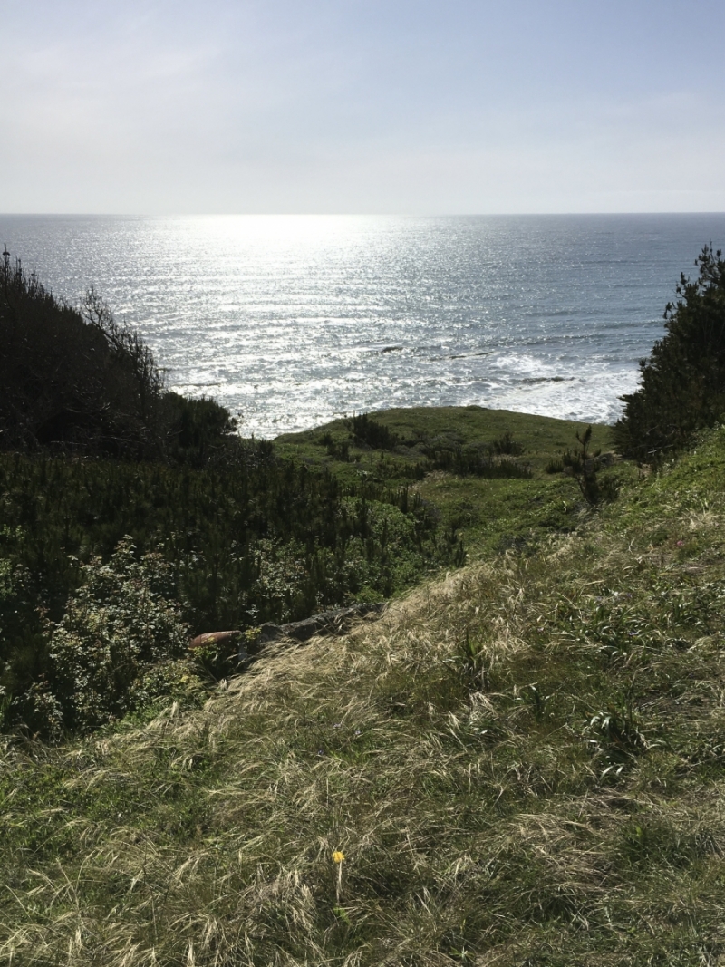 IMG_5304_0_0.jpeg