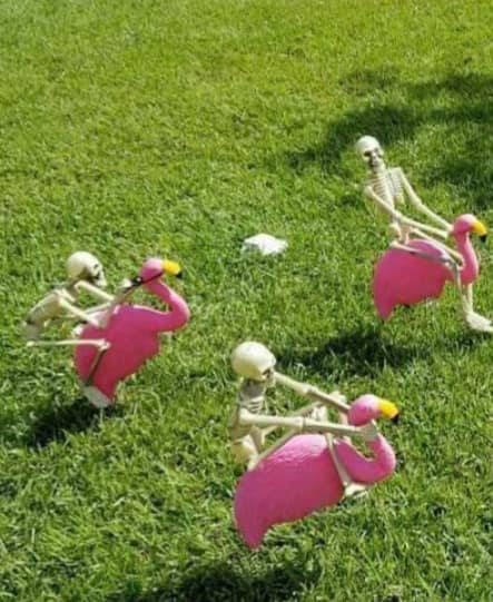 Jockey skeletons on lawn flamingos.jpg