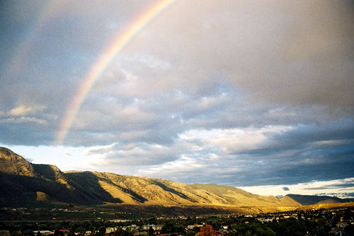 Kamloops rainbow_0.jpg