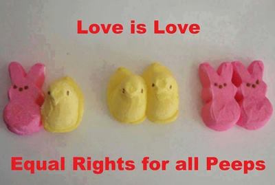 Love is Love-equal rights for all peeps.jpg