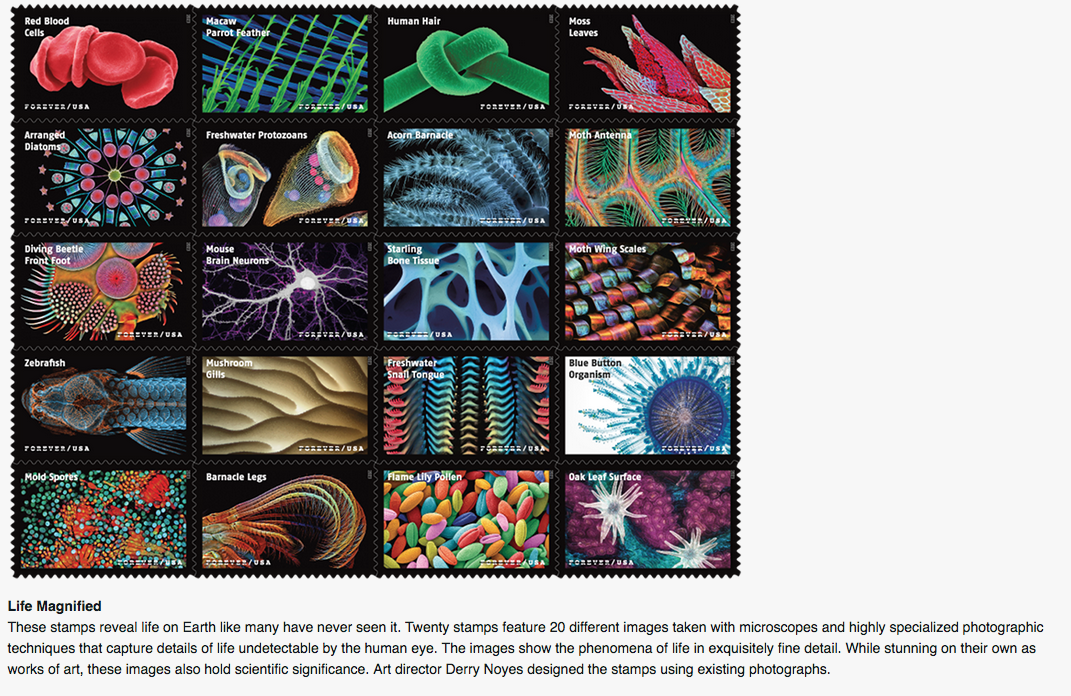 Microscope image stamps 2023.png