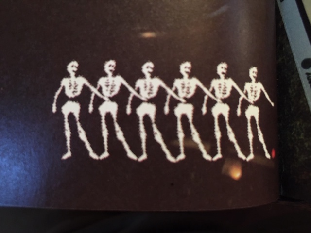 Row of white skels, dk background.JPG