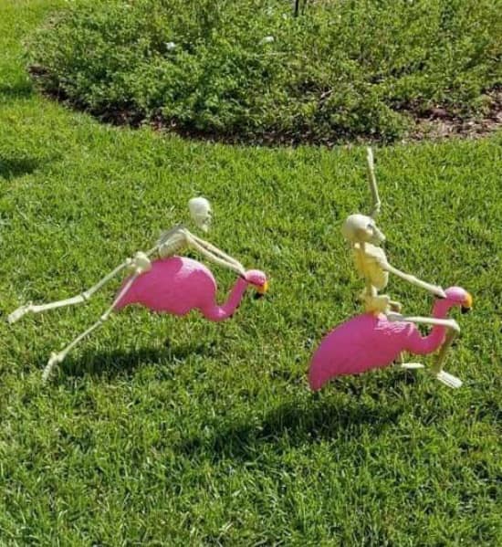 Skeletons flamingos on lawn 1.jpg