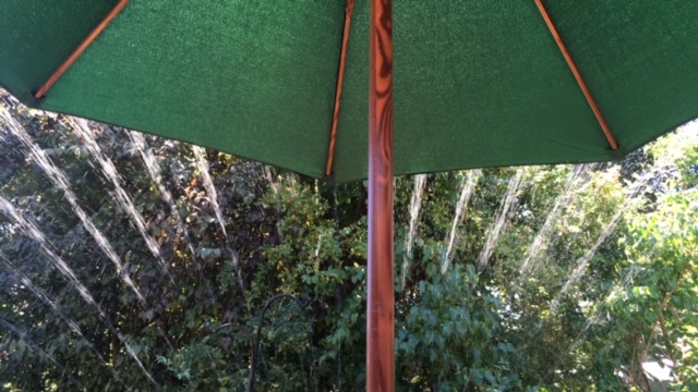 Sprinkler behind umbrella.JPG