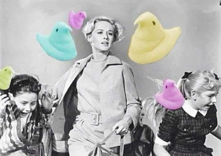 The Birds movie scene.jpg