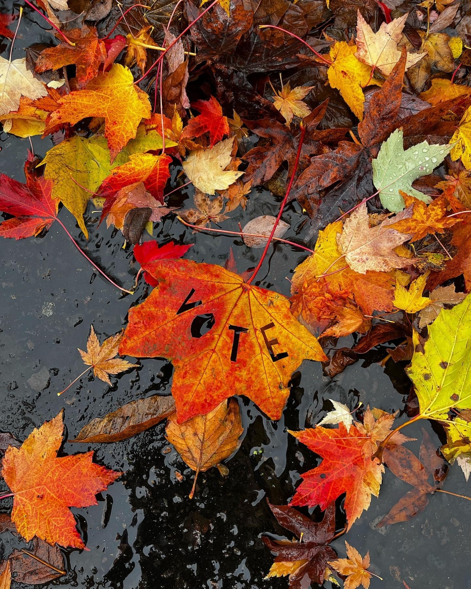 Vote carved in leaf.jpg