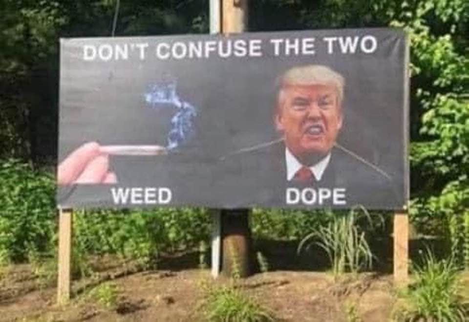 Weed vs dope (trump).jpg