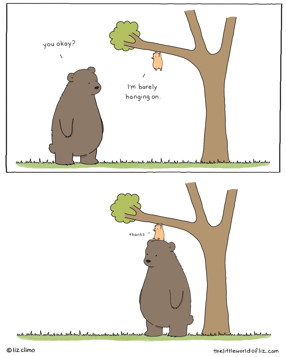 bear helps little in tree_0.jpg