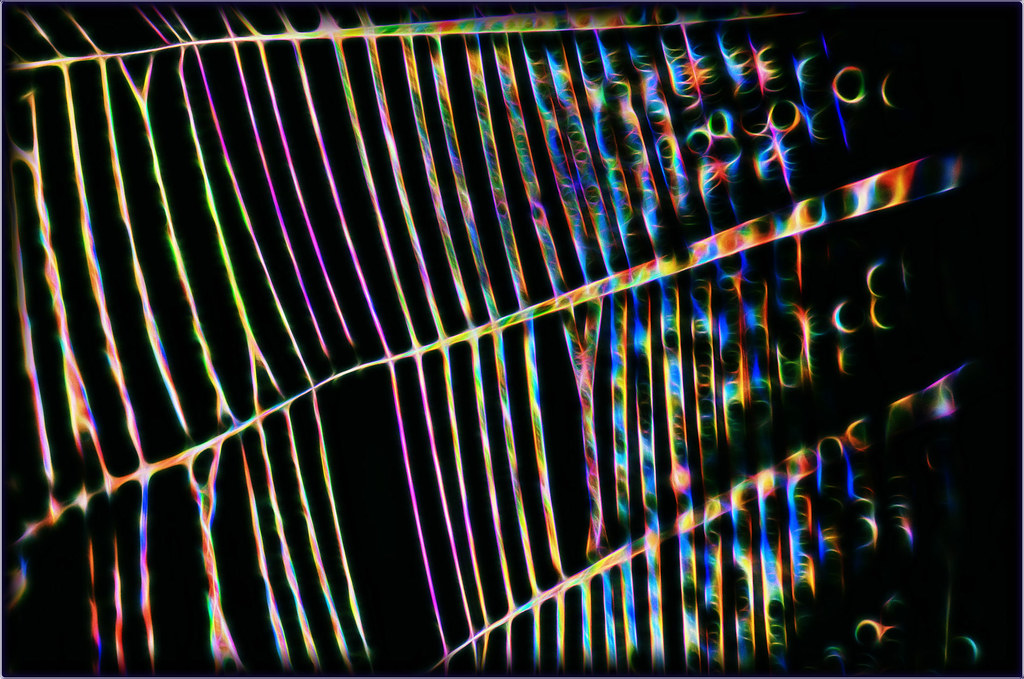 color strips on black.jpg