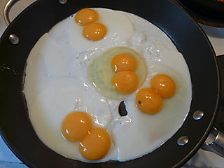 double yolkers (4).jpg