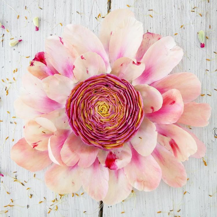 floral raw-vegan-cake.jpg