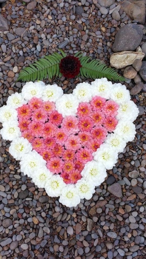 flowers on ground -Robyn Newell_0.jpg
