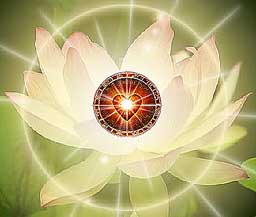 love and light.jpg