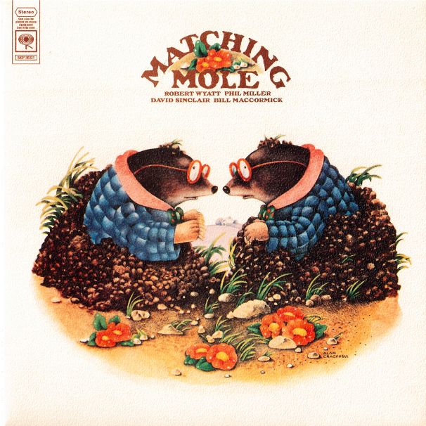 matching-mole.png