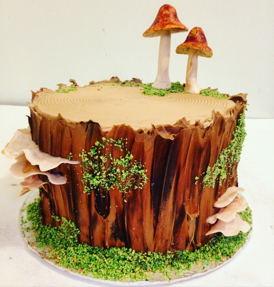 mushrooms on stump_0_0.jpg