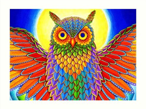 owl, rainbow_0.jpg