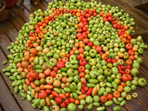produce peace sign_0.jpg