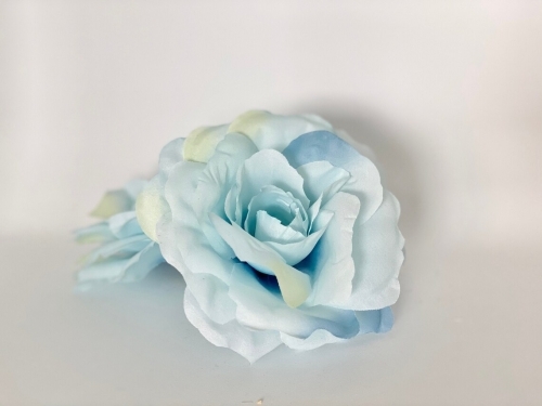 rose ice blue _1_0_0.jpg