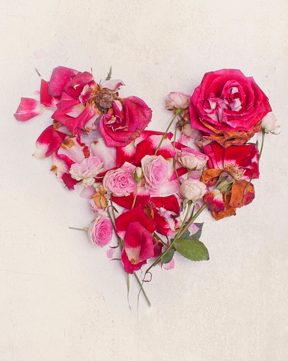 roses on paper.jpg