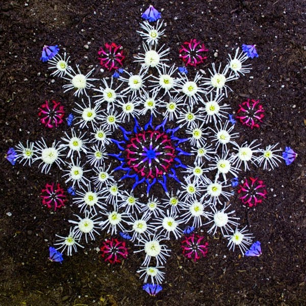 starbursts-by-Kathy-Klein5_2.jpg
