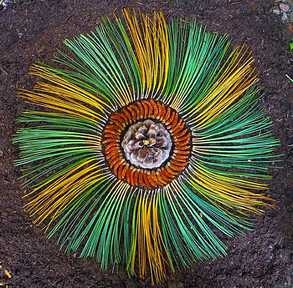 tree needles, seeds -kathy-klein_0.jpg