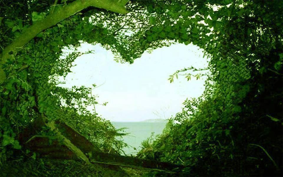 tunnel of green_2.jpg