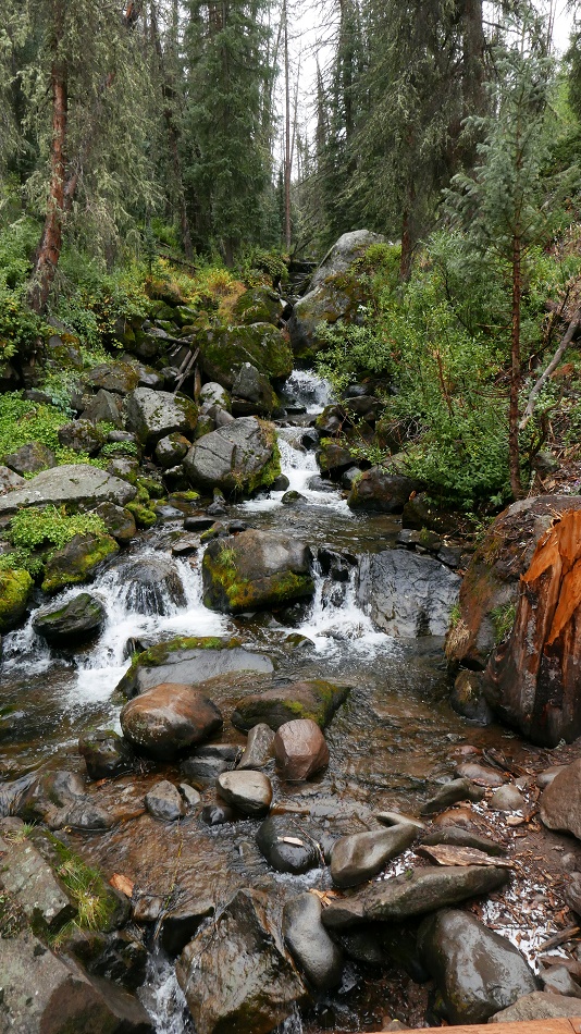 005WeminuchCreek.jpg