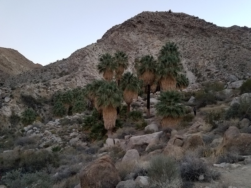 017 Oasis Two.jpg