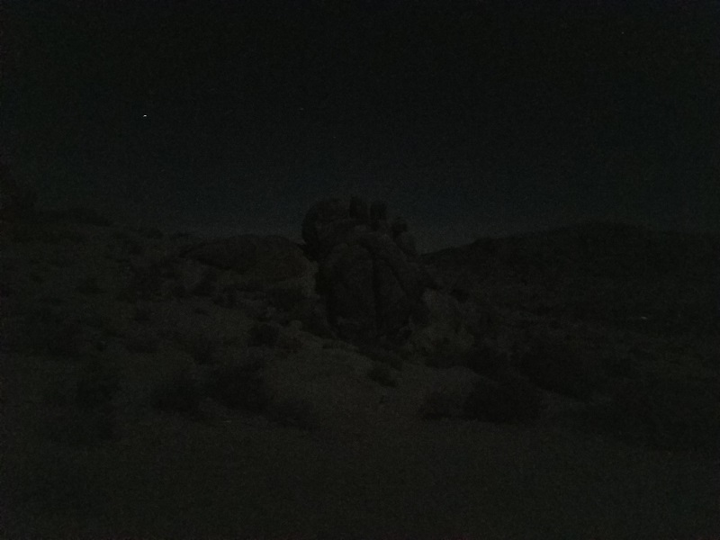 024 dark.jpg