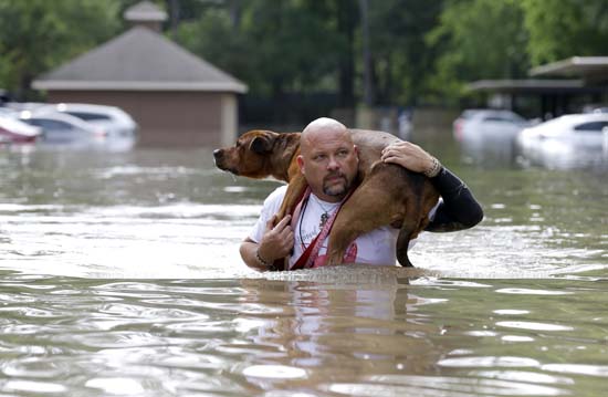 042016apfloodhouston14img.jpg