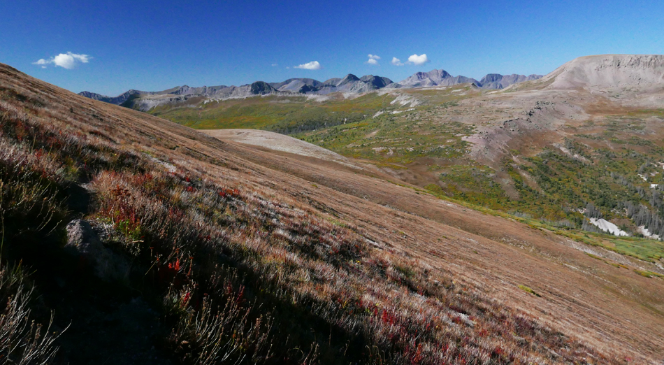 045CDTviewwest.jpg