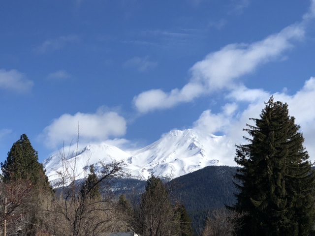 06CE6552-448D-4ABB-9995-C9130C4BC7D4.jpeg