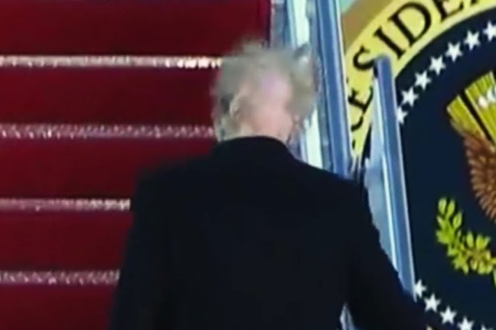 07-donald-trump-hair.w710.h473_0.jpg