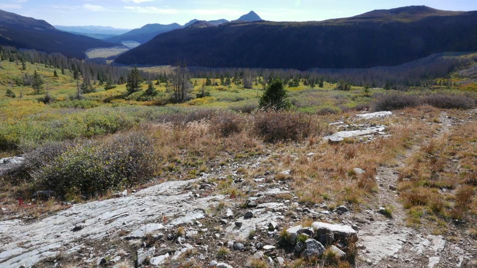 099hikeoutmeadows.jpg