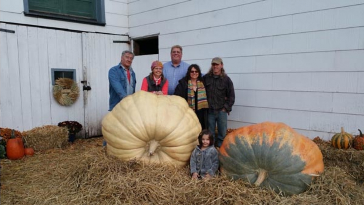 1046117_102215giantpumpkins_0.jpg