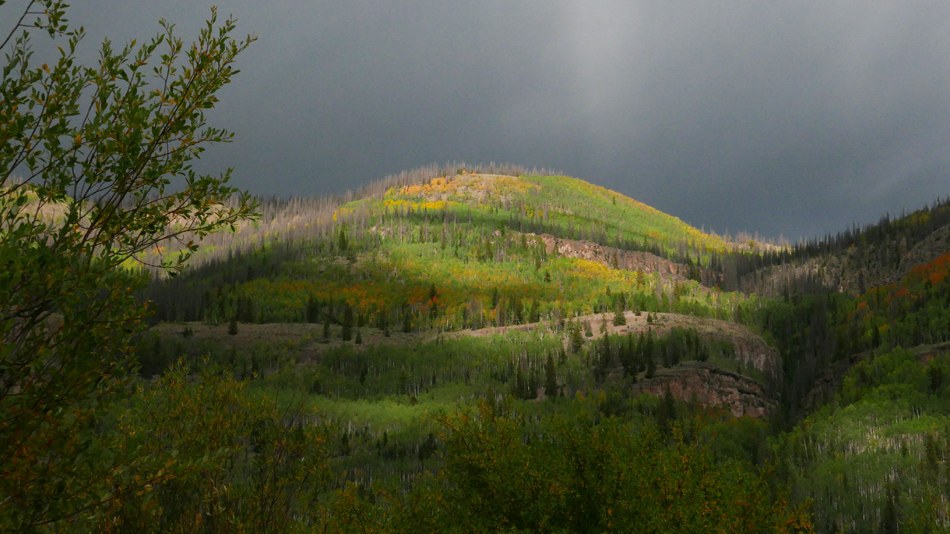 115aspensRioGrandeArea.jpg
