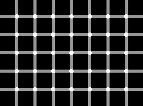 11692534_1425403994452654_6392057963805606498_n.jpg