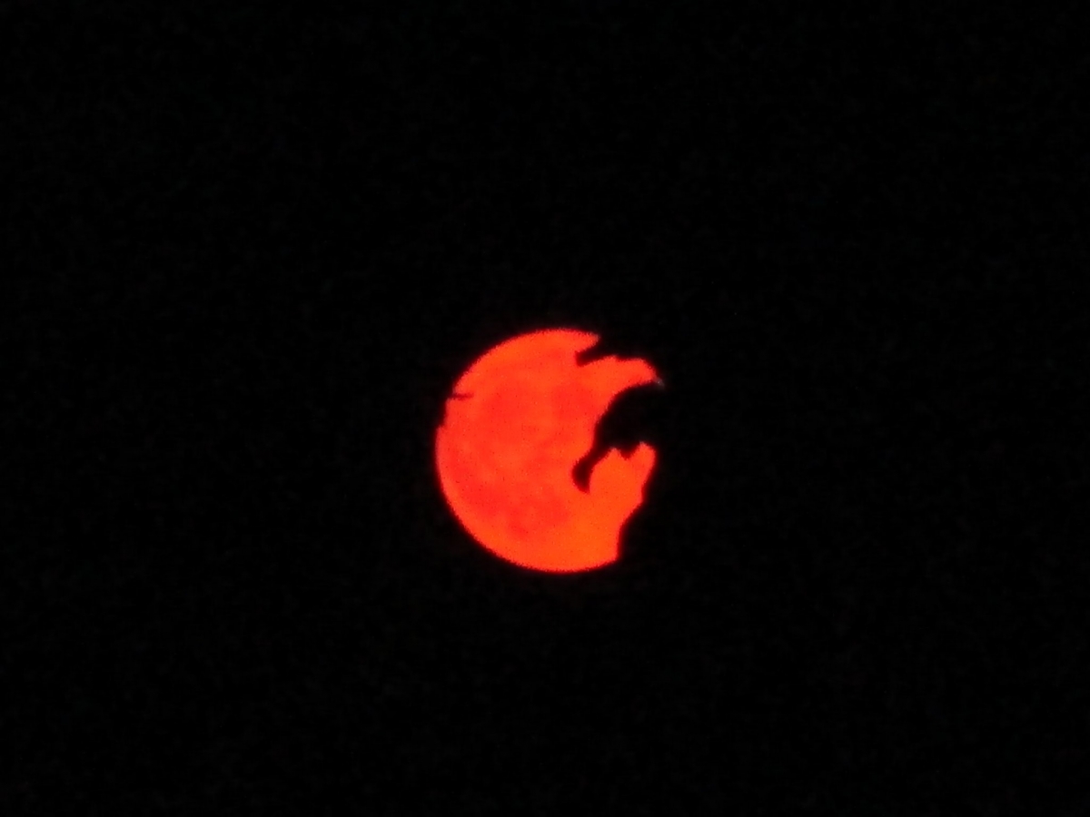120289825_10217547305147198_3962779207034196241_o.jpg