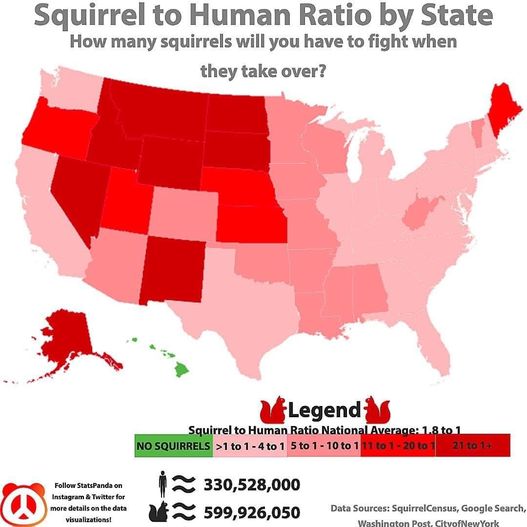 123763611_3785635251447488_6513278294065838993_o.jpg