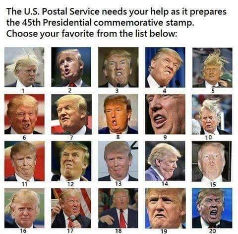 131373508_1338897146450279_2385256723378485048_n.jpg