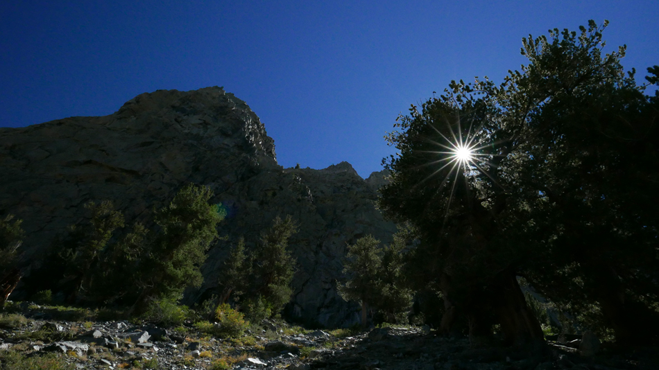134MiddlePalisadeApproachStarburst.jpg