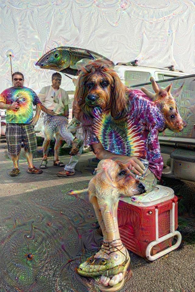 1439305745dream_1439238068.jpg
