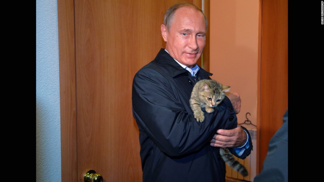 150904201041-putin-holds-a-cat-super-169.jpg
