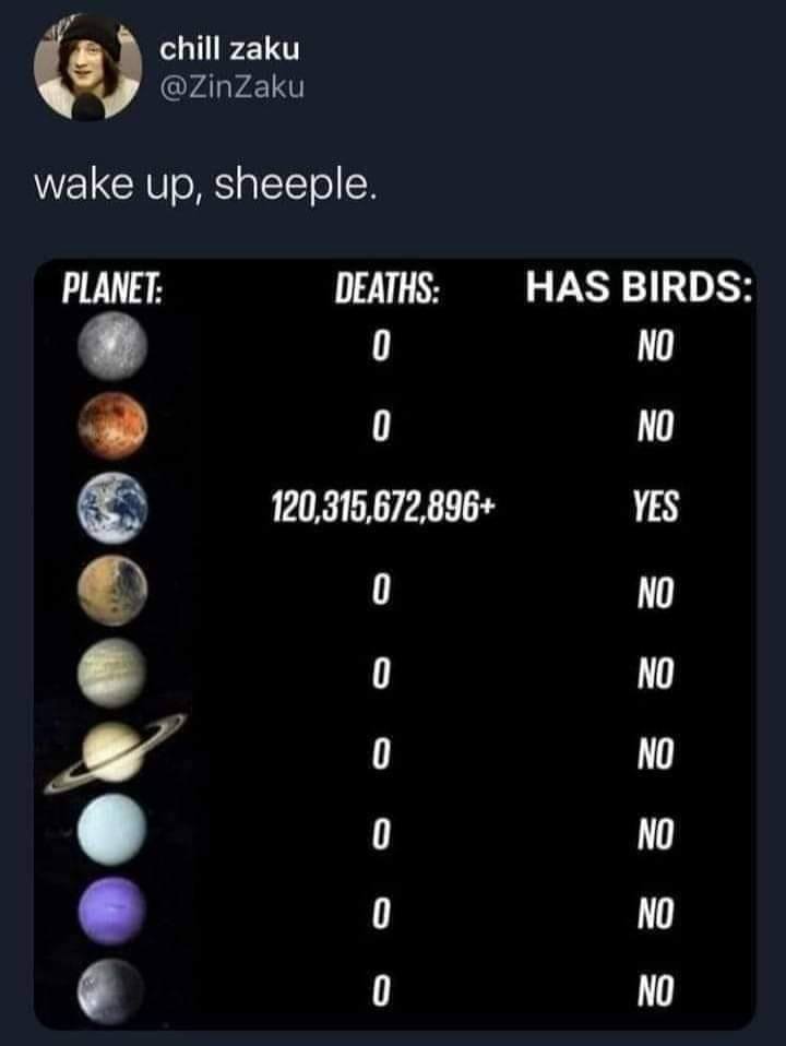 152654615_10224670014599379_1179989955070413512_n.jpg